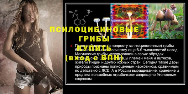 соль ск Алзамай