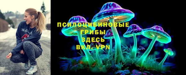соль ск Алзамай